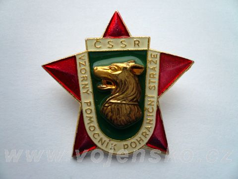 Foto 50